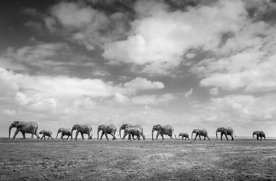 Safari Lodges With Wildlife Paths and Hammock Lounges