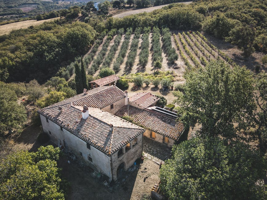 Tuscany Villas With Olive Gardens and Vineyard Libraries