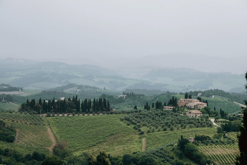 Tuscany Villas With Vineyard Tubs and Olive Grove Views